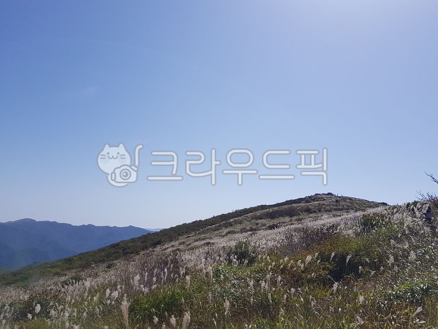 영남알프스,밀양얼음골,억새,언덕,가을하늘,자연,풍경