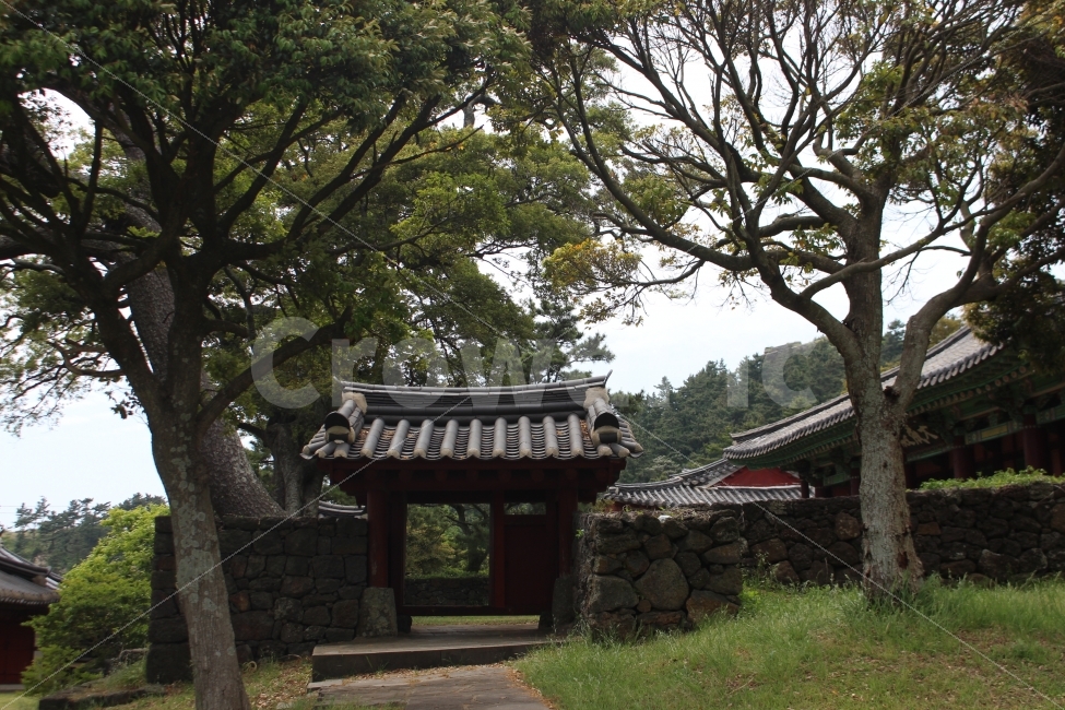 대정향교,사계리,제주도,향교,기와문,문,문화재,유형문화재,제주도,jeju,jeju island,한국전통,한국문화,korean traditional,korean culture,랜드마크,landmark,tourist attraction,한국랜드마크,한국관광지,한국명소,korea landmark,korea tourist attraction,식물,자연,plants,nature,나무,trees,wood,outdoors,옥외,arbour,정자,garden,정원
