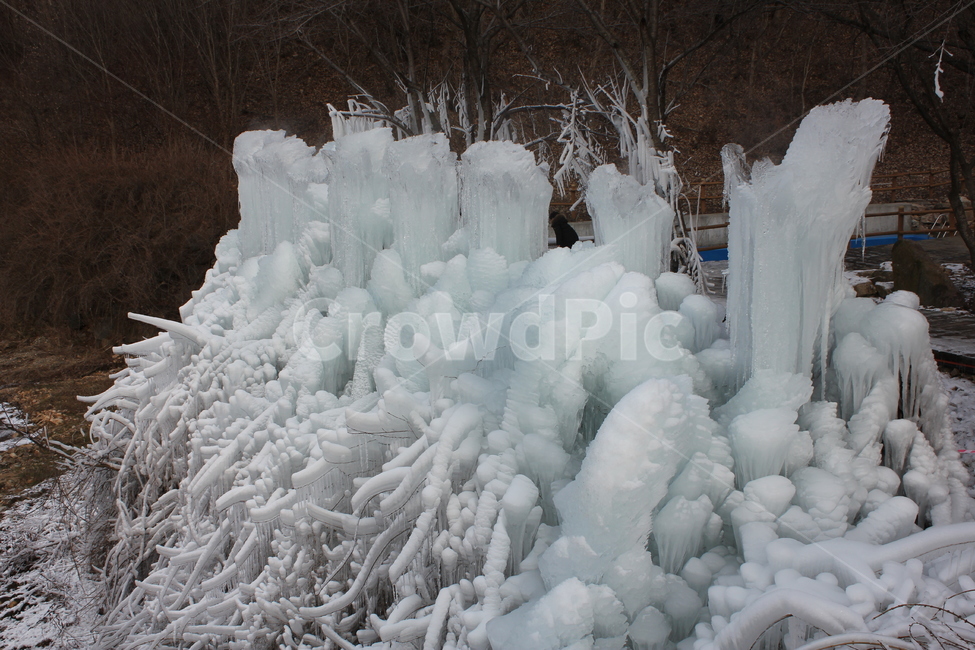 얼은,얼음기둥,겨울,풍경,자연,nature,outdoors,옥외,ice,빙,겨울,계절,winter,season