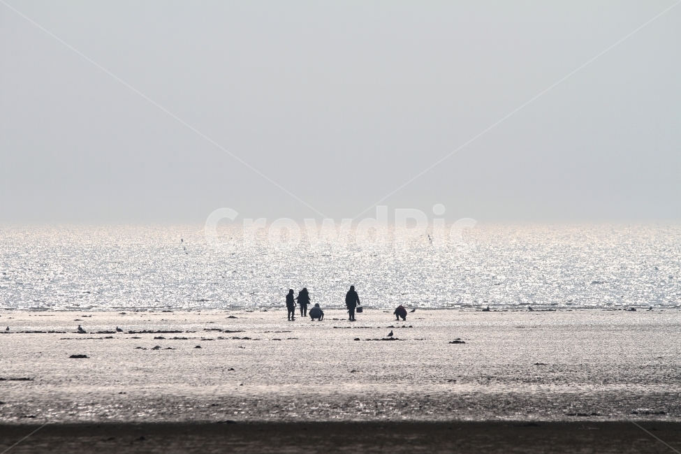 바다풍경,조개잡이,실루엣,자연,감성사진,갯벌사진,서해바다,자연,풍경,nature,landscape,한국자연풍경,한국자연경관,korea nature landscape,사람,인물,인간,human,person,인물실루엣,사람실루엣,character silhouette,human silhouette,adventure,모험,leisure activities,레저 활동