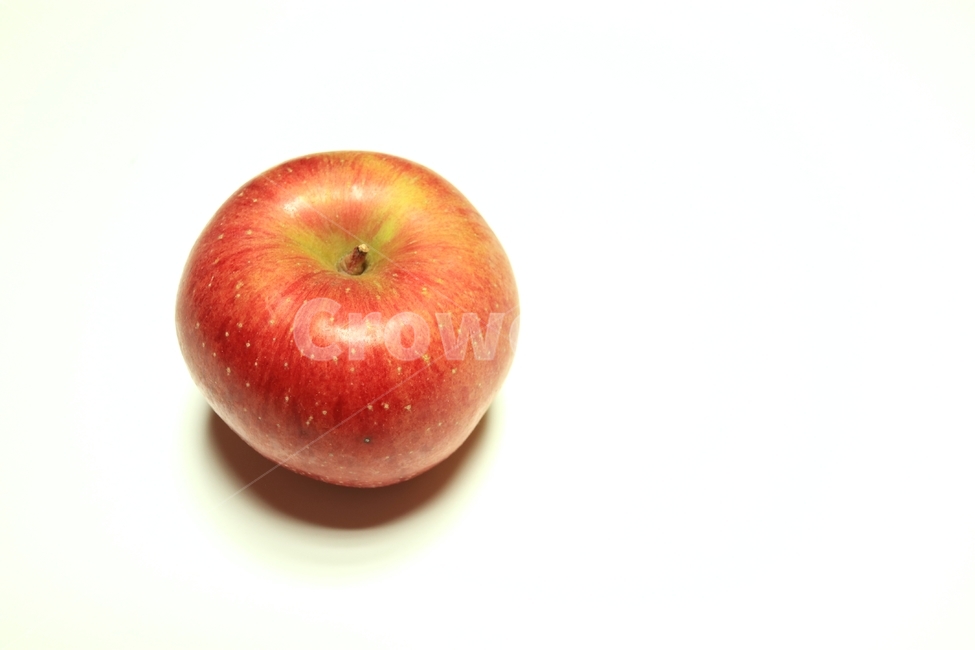 과일,fruit,apple,사과,food,식물,음식
