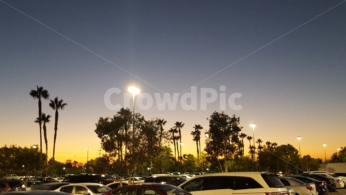 california,캘리포니아,야자수,캘리포니아노을,노을,미서부