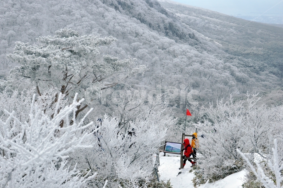 겨울산,겨울나무,등산,눈꽃,산,hallasan,snowflake,mountain,설경,겨울풍경,하얀,눈,한라산,snow,winter,겨울,지표,행선지표,깃발,빨간깃발,겨울제주,하얀세상,겨울,계절,winter,season,자연,풍경,nature,landscape,사람,인물,인간,human,person,outdoors,옥외