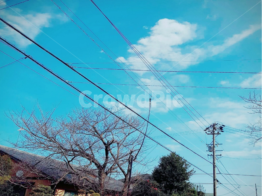 평화,동네,골목,집,하늘,맑음,산책,자연,풍경,nature,landscape