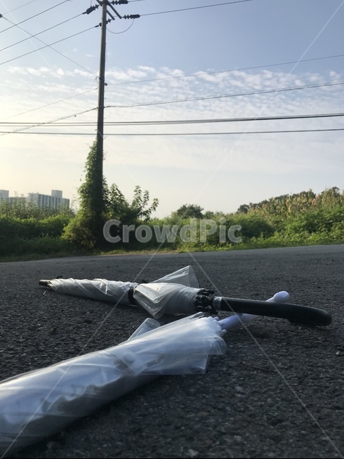 asphalt,아스팔트,tarmac,타맥,우산,사물,물건,오브젝트,thing,object,matter
