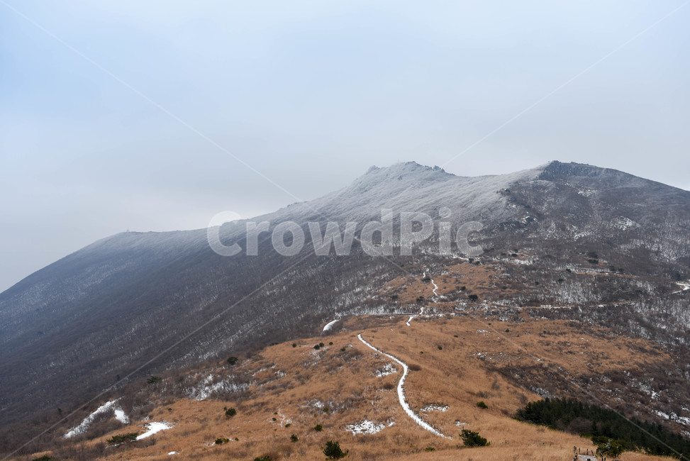 무등산,자연,산,산맥,outdoors,mountain,겨울,눈,winter,snow,cold,억새,갈색,sivergrass,lonely,외로움,고독