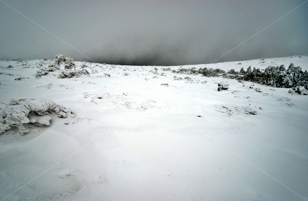 한라산,제주도,영실코스,설경,눈,겨울,설화,겨울,계절,winter,season