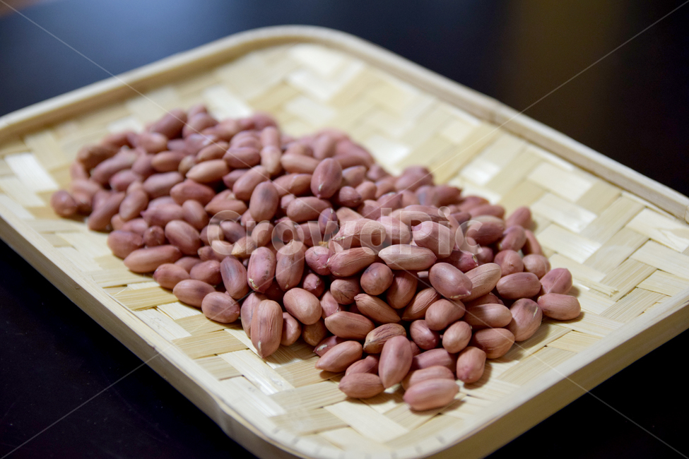 땅콩,열매,뿌리식물,가을,fall,autumn,fruits,peanut,음식,식재료,요리,food,cook,meal,dishes,food reserves,콩류,견과류,beans,pulse,nuts,dry fruits