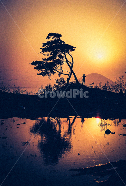 반영,빛,노을,나무,사람,자연,황홀,자연,풍경,nature,landscape,사람,인물,인간,human,person,실루엣,그림자,silhouette,shadow,인물실루엣,사람실루엣,character silhouette,human silhouette,outdoors,옥외,sky,하늘,sunset,일몰,dusk,황혼,dawn,새벽,red sky,붉은 하늘,sunlight,햇빛