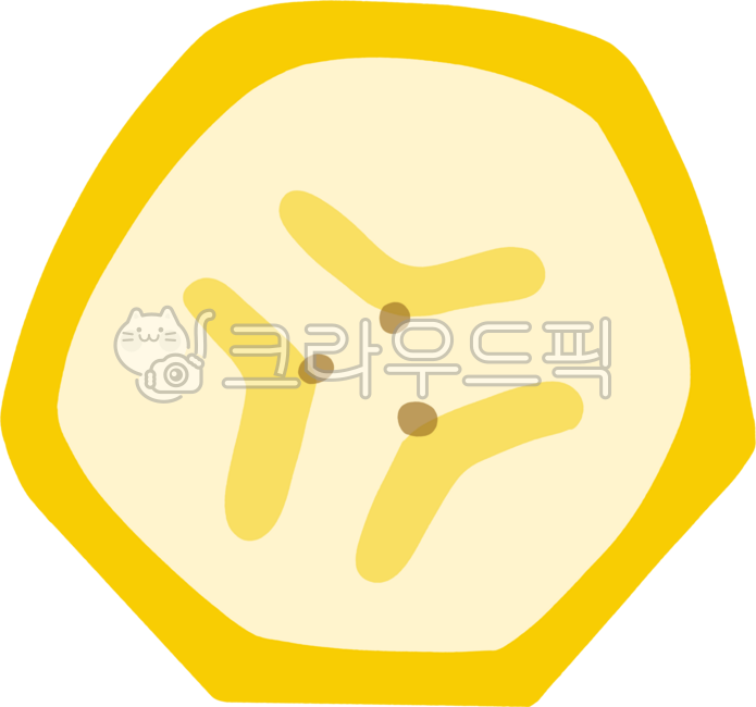 바나나그림,바나나잘린단면,과일단면,바나나단면,바나나잘린그림,바나나,과일,바나나잘린이미지