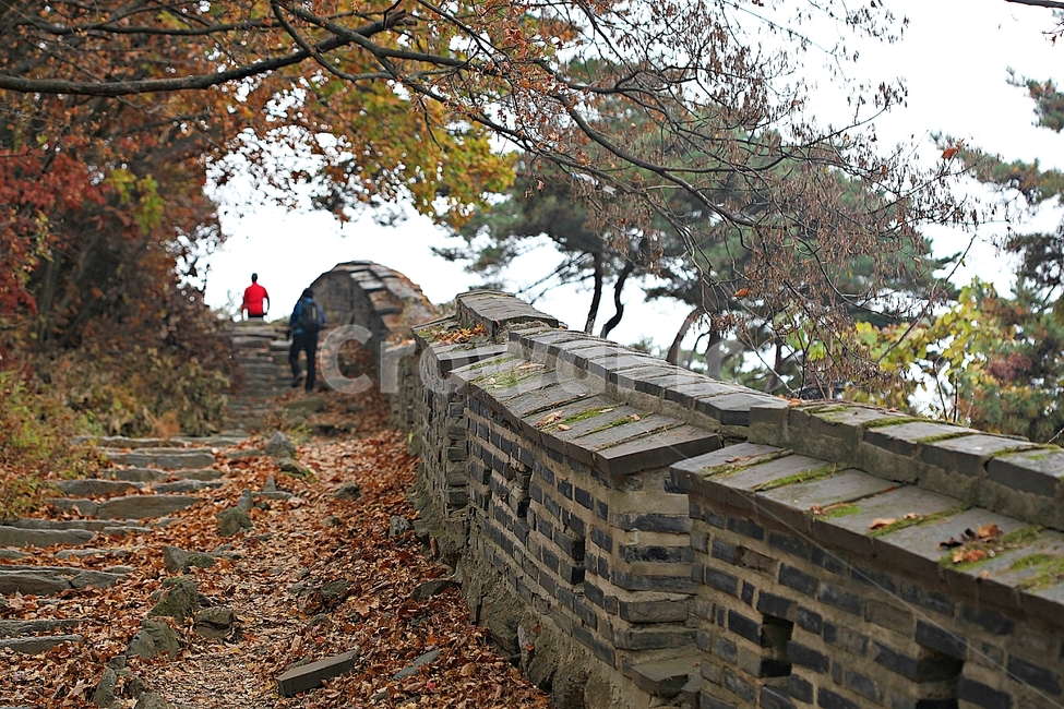 남한산성,성,성곽,단풍,낙엽,길,둘레길,숲,숲길,담,돌담,가을,자연,풍경,벽,울긋불긋,산성,식물,가을,계절,fall,autumn,season