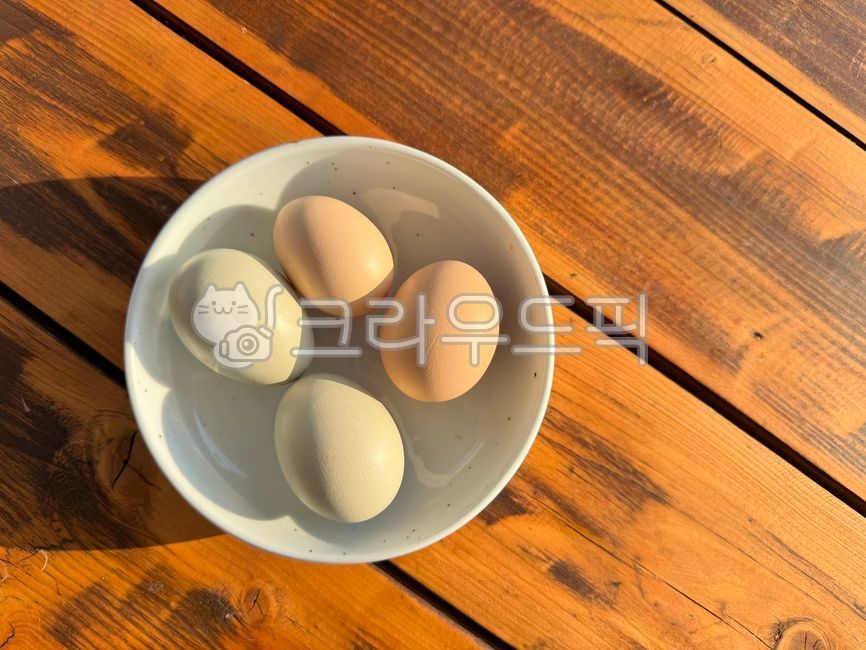계란,음식,food,egg,달걀,유정란,친환경음식,무정란,닭알
