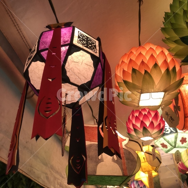 연등회,조명,불교,부처님,절,불교행사,종교,신앙,religion,belief,faith
