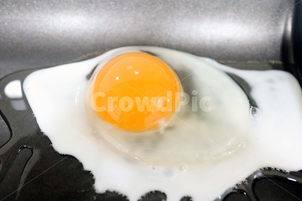 달걀후라이,계란후라이,계란,달걀,노른자,후라이,음식,식재료,요리,food,cook,meal,dishes,food reserves