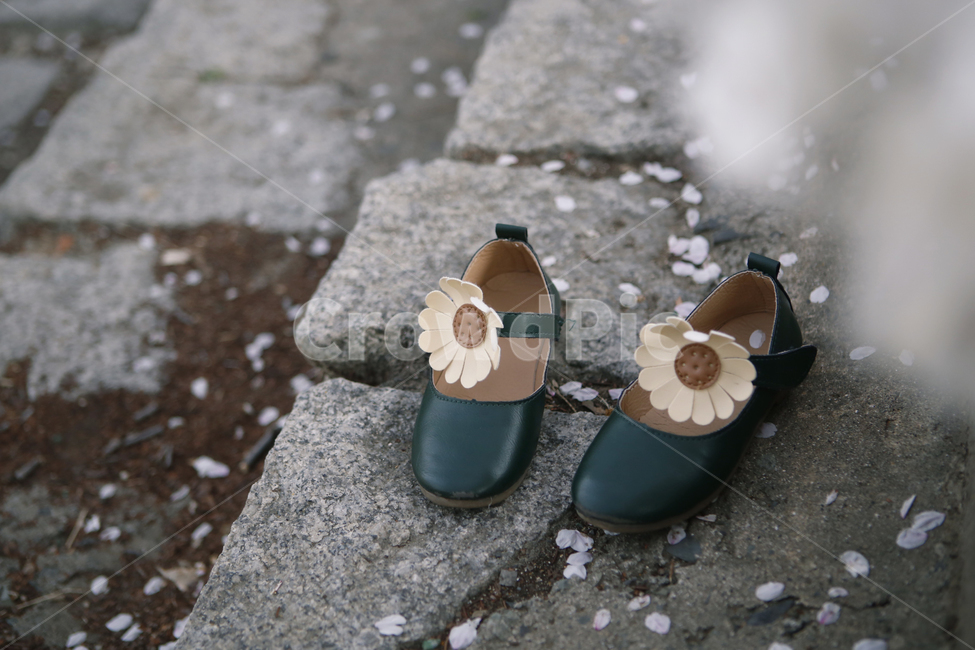 봄,벗꽃엔딩,꽃신,산책,벚꽃길,봄,계절,spring,season,사람,인물,인간,human,person,어린이,어린아이,child,children,kid,사물,물건,오브젝트,thing,object,matter,sandal,샌들