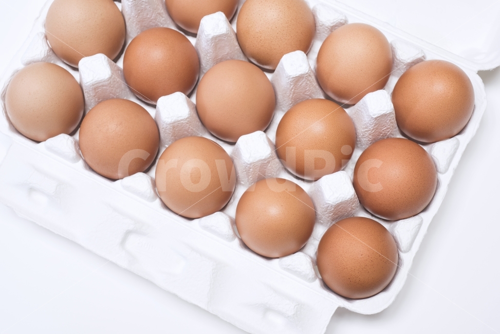 계란,달걀,음식,식재료,먹다,계란판,식료품,egg,단백질,담겨있는,보관,신선,식품,재료,오브젝트,요리,한판,흰배경,후레쉬,무농약,살충제,검사,인증,확인,음식,식재료,요리,food,cook,meal,dishes,food reserves