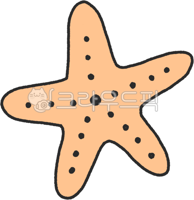 불가사리,해양동물,동물,바다,해양