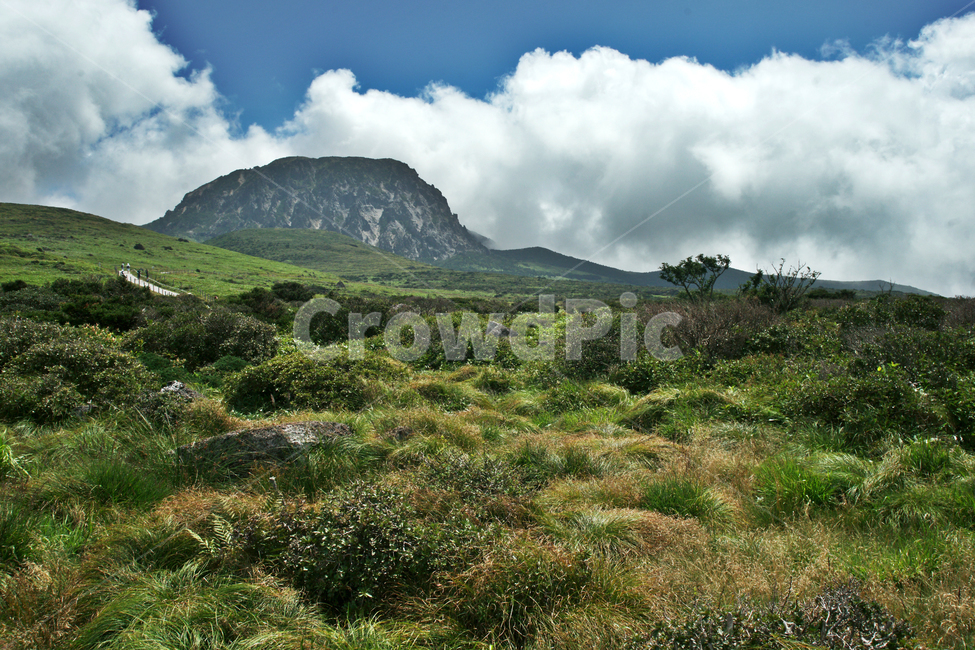백록담,한라산,제주,영산,최남단산,자연,풍경,nature,landscape,한국자연풍경,한국자연경관,korea nature landscape,제주도,jeju,jeju island,outdoors,옥외,hill,언덕