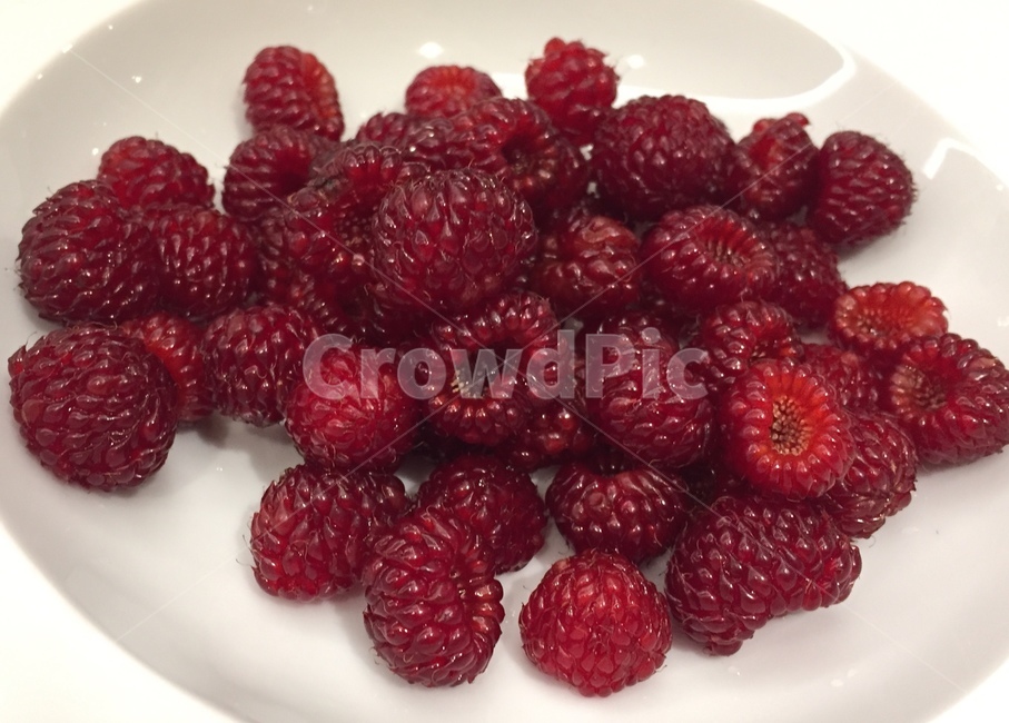 라즈베리,raspberry,과일,음식,빨간열매,빨강