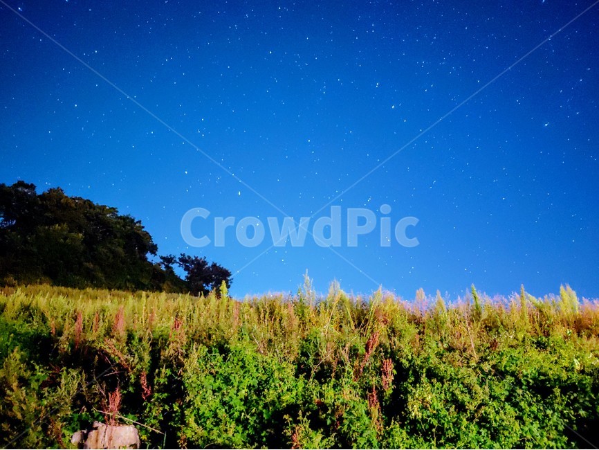 star,galaxy,milkyway,nature,밤,별,은하수,밤하늘,감성,자연