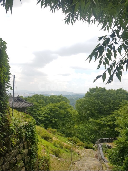 outdoors,옥외,nature,야외,자연,자연,풍경,nature,landscape