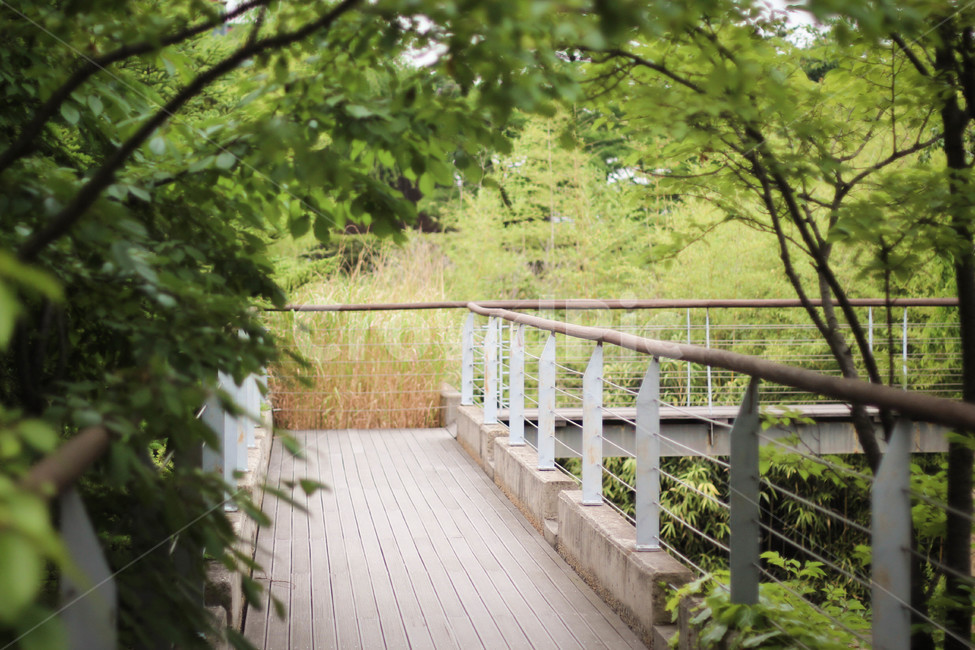 선유도공원,공원,자연,여름,감성사진,자연,풍경,nature,landscape,banister,난간,handrail,railing