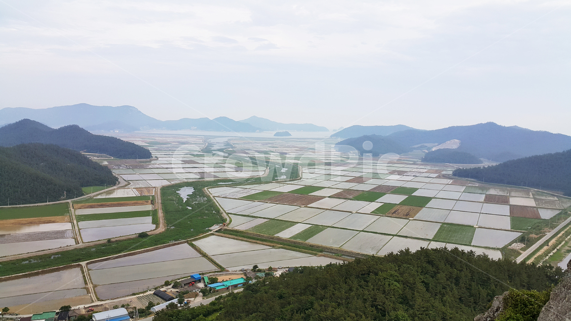 풍경,농촌,논,밭,자연,산,들,하늘,구름,경치,landscape,nature,scenery,시골,농업,농사,agriculture,farming,farming industry