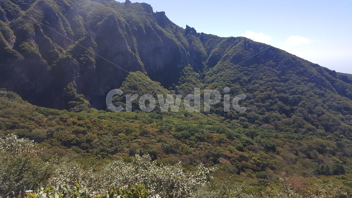 한라산,산,자연풍경,우리나라산,나무,자연,맑은하늘,힐링,햇살