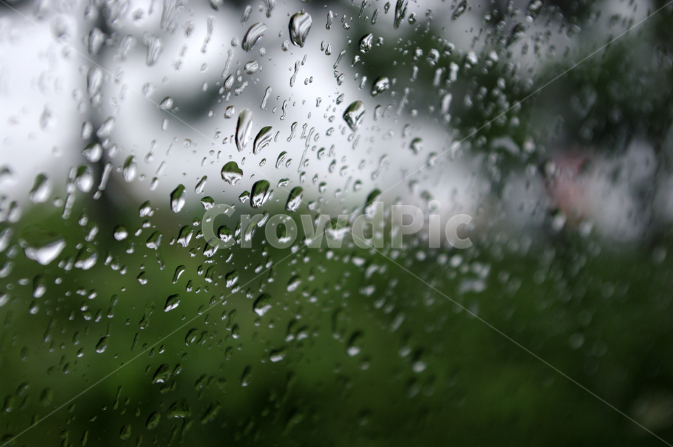 비,창,물방울,빗방울,rain,비,비오는날,rain,rainy