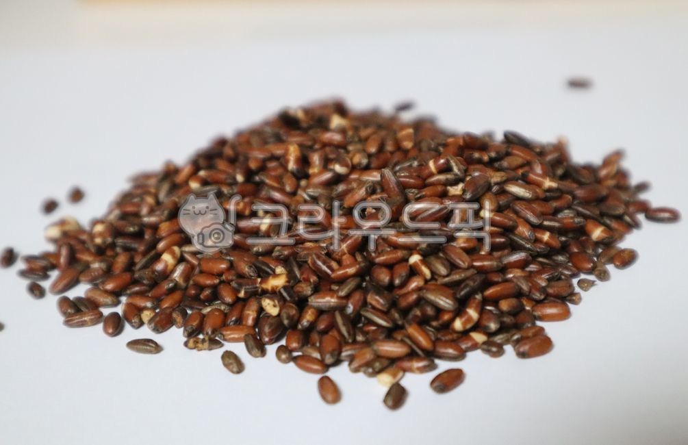 현미,재료,건강한,비건,식물성,볶은현미,탄수화물,익히지않은,요리,마른,식사,통곡물,곡물,음식,밥,농업,healthy,agriculture,germinationunpolishedrice,carbohydrates,rice,plantbased,farming,wholegrain,cookedrice,vegandiet,uncooked,eating,cooking,dry,cuisine,vegan,vegetarian,brownrice,nutrition,meal,grain,food