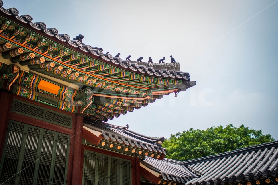 한국,서울,여행,사진,취미,5대궁궐,덕수궁,korea,seoul,travel,photo,랜드마크,landmark,tourist attraction,한국전통,한국문화,korean traditional,korean culture