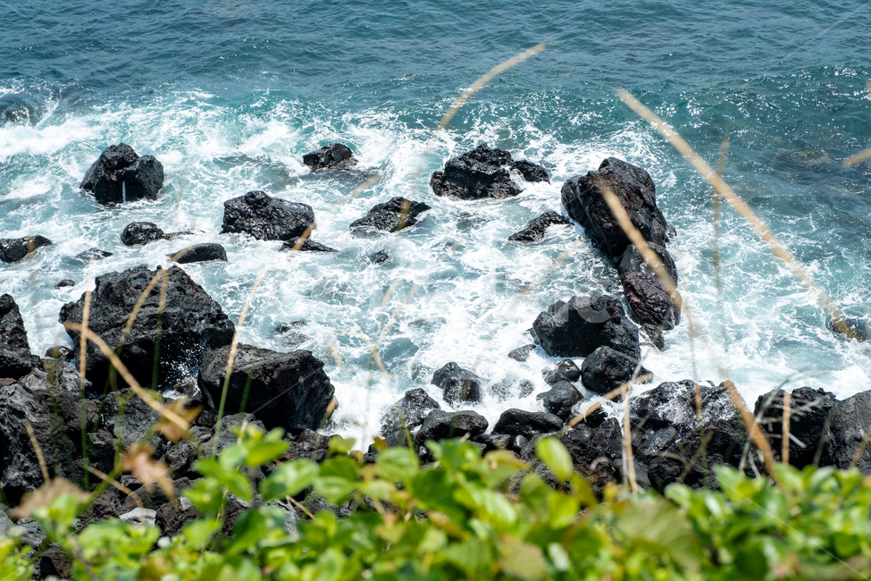 제주,제주도,성산일출봉,자연,바다,풍경,아름다운풍경,바닷가,섬,jeju,nature,풀,검은해변,검은돌,water,land,파도,검은바위,자연,풍경,nature,landscape,제주도,jeju,jeju island,물,outdoors,옥외,sea,ocean,대양,adventure,모험,leisure activities,레저 활동