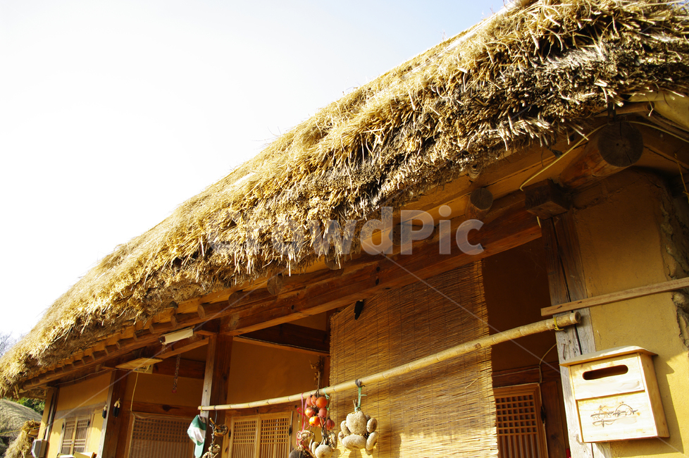 초가지붕,전통가옥,한국,초가집,집,마을,한국전통,한국문화,korean traditional,korean culture,건축물,건물외관,exterior,building,structure,architecture,construction
