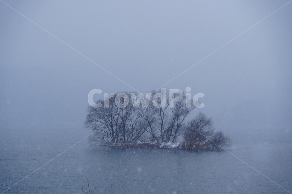 눈,저수지,나무,겨울,설경,겨울,계절,winter,season,자연,풍경,nature,landscape,한국자연풍경,한국자연경관,korea nature landscape,outdoors,옥외