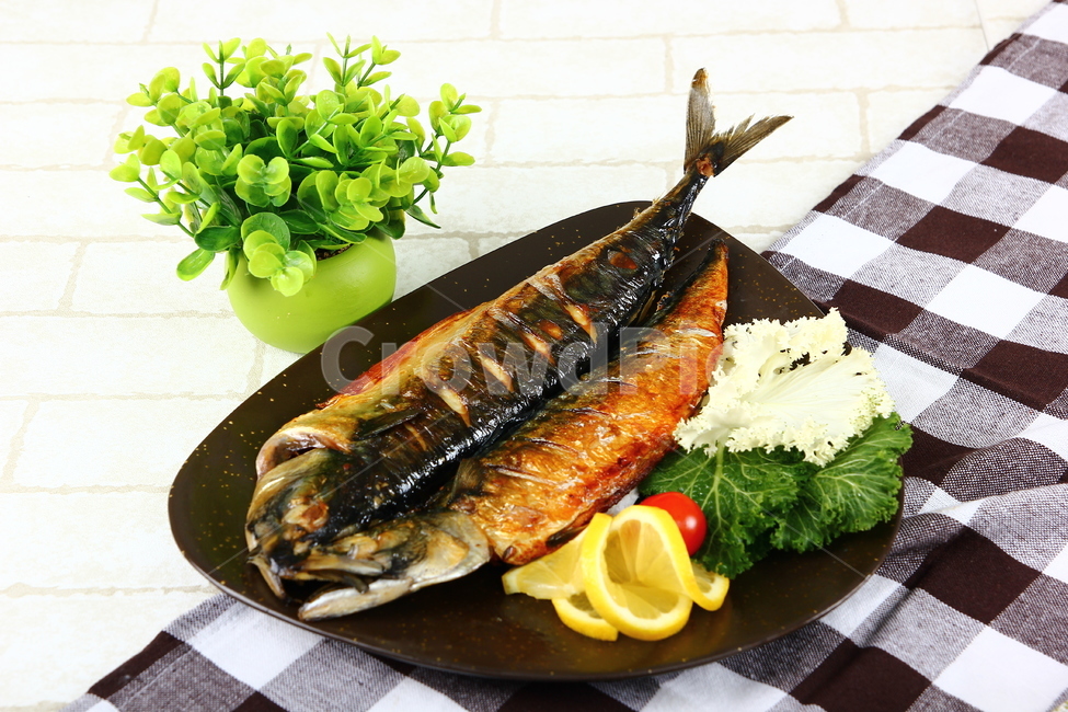 고등어,생선,등푸른생선,구이,생선구이,해산물,음식,식품,신선,싱싱,mackerel,fish,grill,seafood,food,fresh,crispy,음식,식재료,요리,food,cook,meal,dishes,food reserves,수산물,해산물,fishery products,seafood