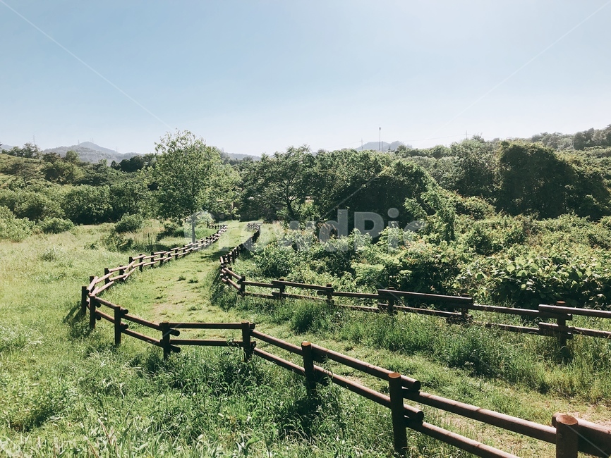 울타리,초원,하늘,나무,꼬부랑길,자연,풍경,nature,landscape,outdoors,옥외