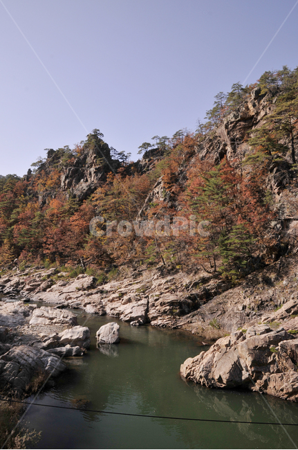 불영사,불영사계곡,가을,단풍,자연,nature,mountain,산,가을불영사,가을불영사계곡