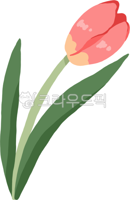 Flowers,tulips,tulip illustration,a single tulip,flower shop,floristry,garden,flower garden,pink tulips,emotional flower illustration,wedding invitation flower drawing