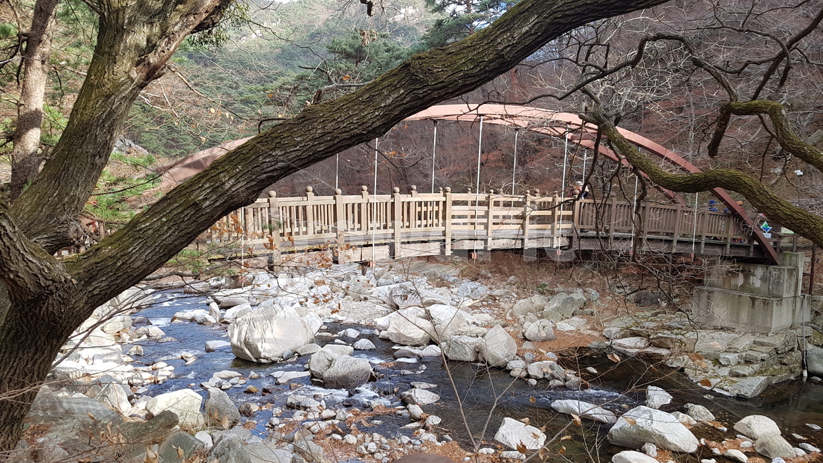 다리,가을,소리길,나무,가을풍경