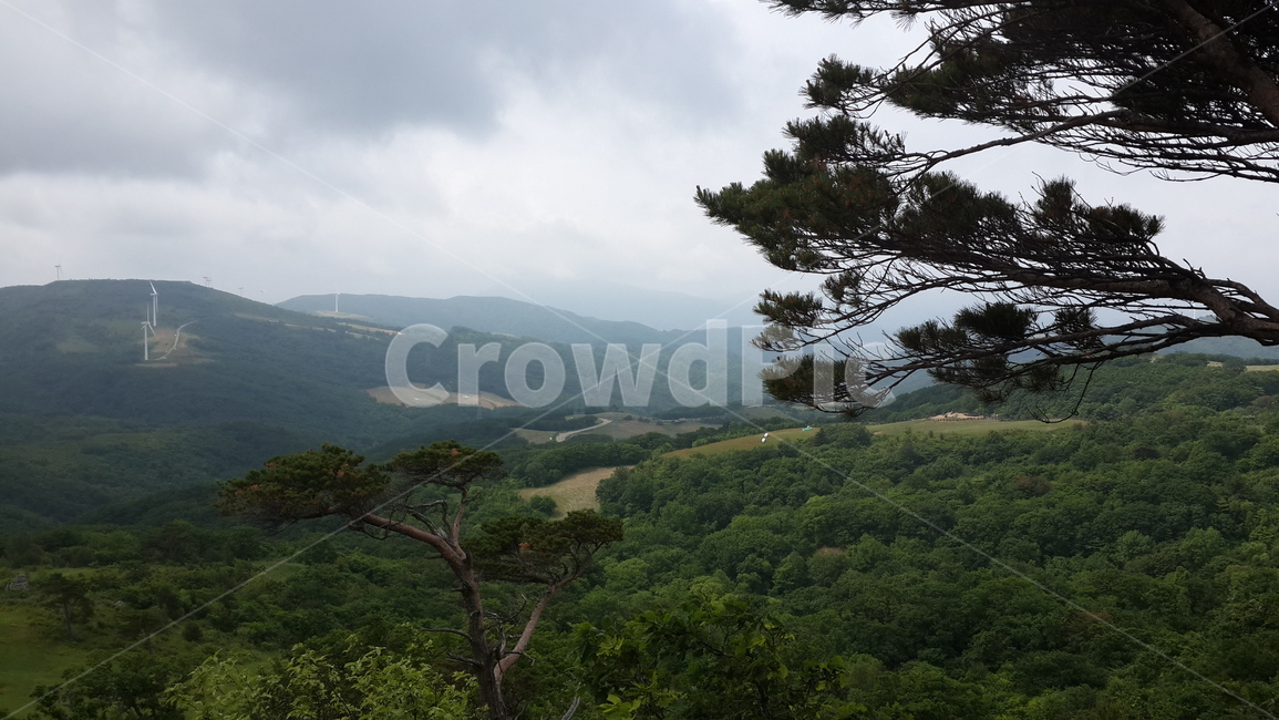 풍경,나무,하늘,분위기,저녁,자연,풍경,nature,landscape,outdoors,옥외