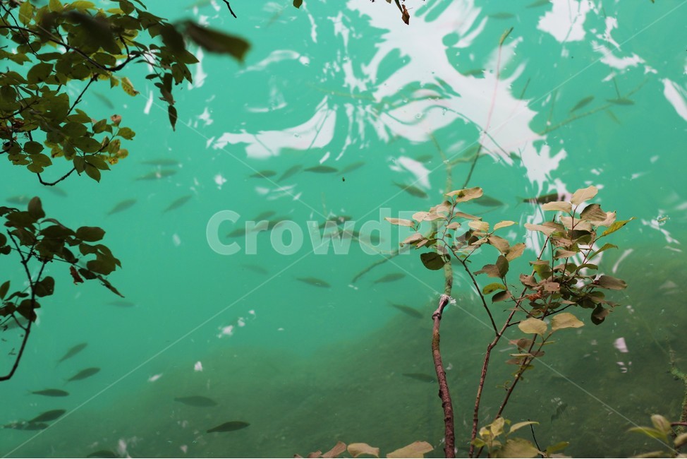 water,물,호수,강,river