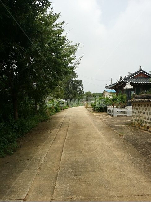 시골길,기와집,고즈넉한,조용한,돌담