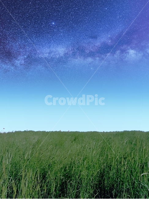 nature,자연,outdoors,옥외,밤하늘,별빛,언덕,풍경,잔디,공원