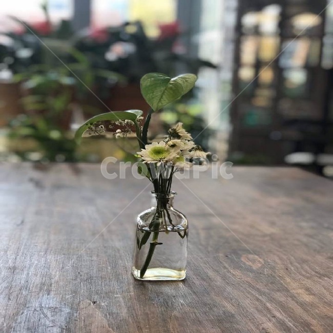 꽃,꽃병,테이블위꽃,분위기,카페분위기