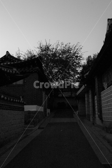 한국,민속,전통,북촌,한옥,한옥마을,서울,종로,북촌한옥마을,전통집,가옥,기와,분위기,색감,주택,집,korea