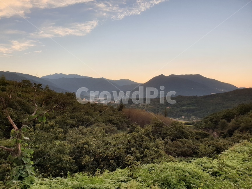 산,정상,산정상,노을,시골,나무,나무숲,해질녘,자연,mountain,sunet