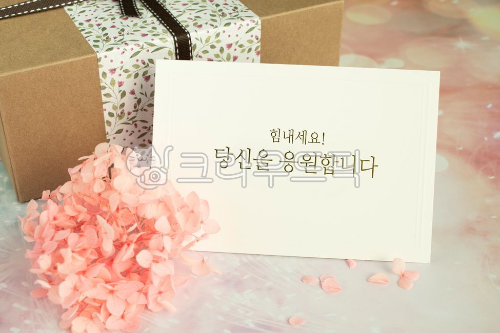 gift,Cheering,test,Phrases,sat,entrance exam,cheering phrase,korean,message,hope,I cheer for you,College entrance exam prayer,elegance,etiquette,encourage,Positive,cheer up,letter,CSAT Photo Contest,manners,College entrance exam day,card,college entrance 