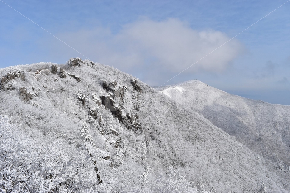 소백산,눈꽃풍경,상고대,겨울풍경,국립공원,겨울동화,힐링,감성,아름다움,뷰티풀,설국,눈풍경,파란하늘,100대명산,겨울명산,설경,서리꽃,영동,snow,landscape,눈,화이트,자연,신비로운,경이로운,천상,비경,치유,자연,풍경,nature,landscape,겨울,계절,winter,season,slope,경사,outdoors,옥외,mountain,산,mountain range,산맥