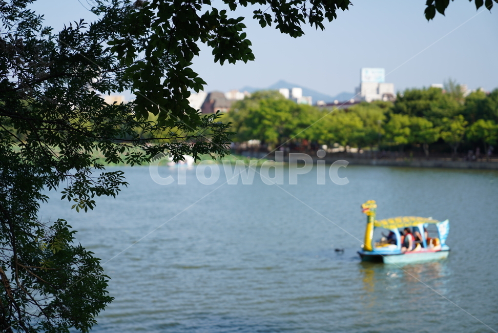boat,보트,물,water,연못,오리보트