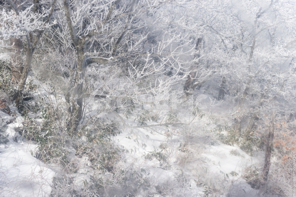 풍경,겨울풍경,눈,눈꽃,겨울,자연,감성,덕유산,snow,winter,nature,landscape,mountain,tree,겨울,계절,winter,season,자연,풍경,nature,landscape,outdoors,옥외